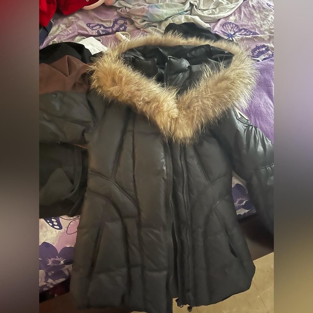 Secilia Arctic North Jacket. O